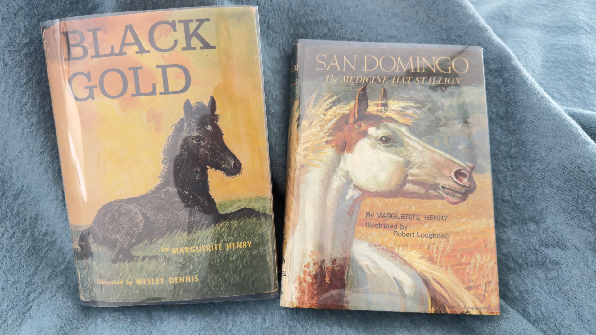 Two paperback horse books on blue fabric, including Black Gold and San Domingo.