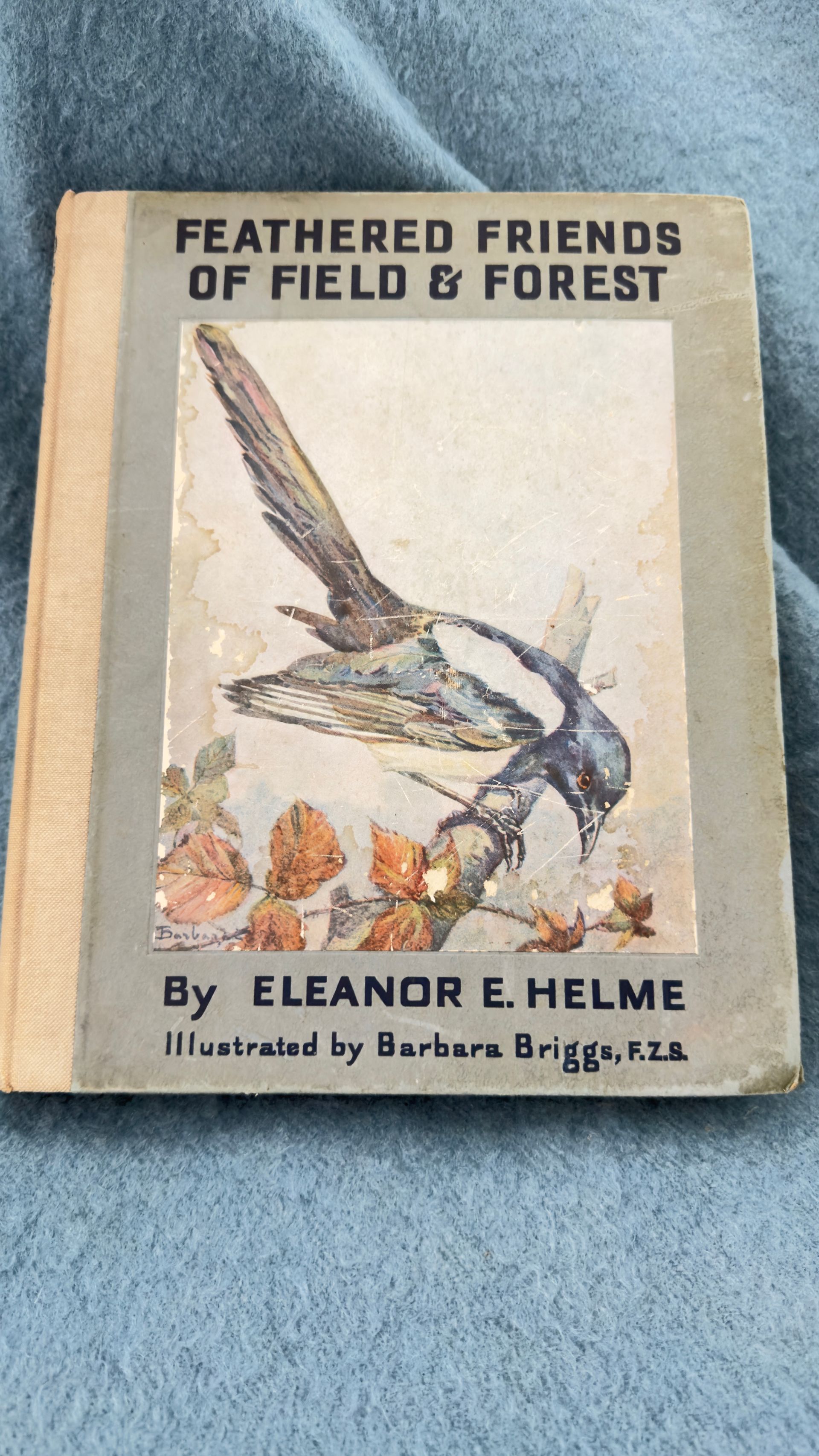 Vintage book cover of “Feathered Friends of Field & Forest” with a flying bird illustration