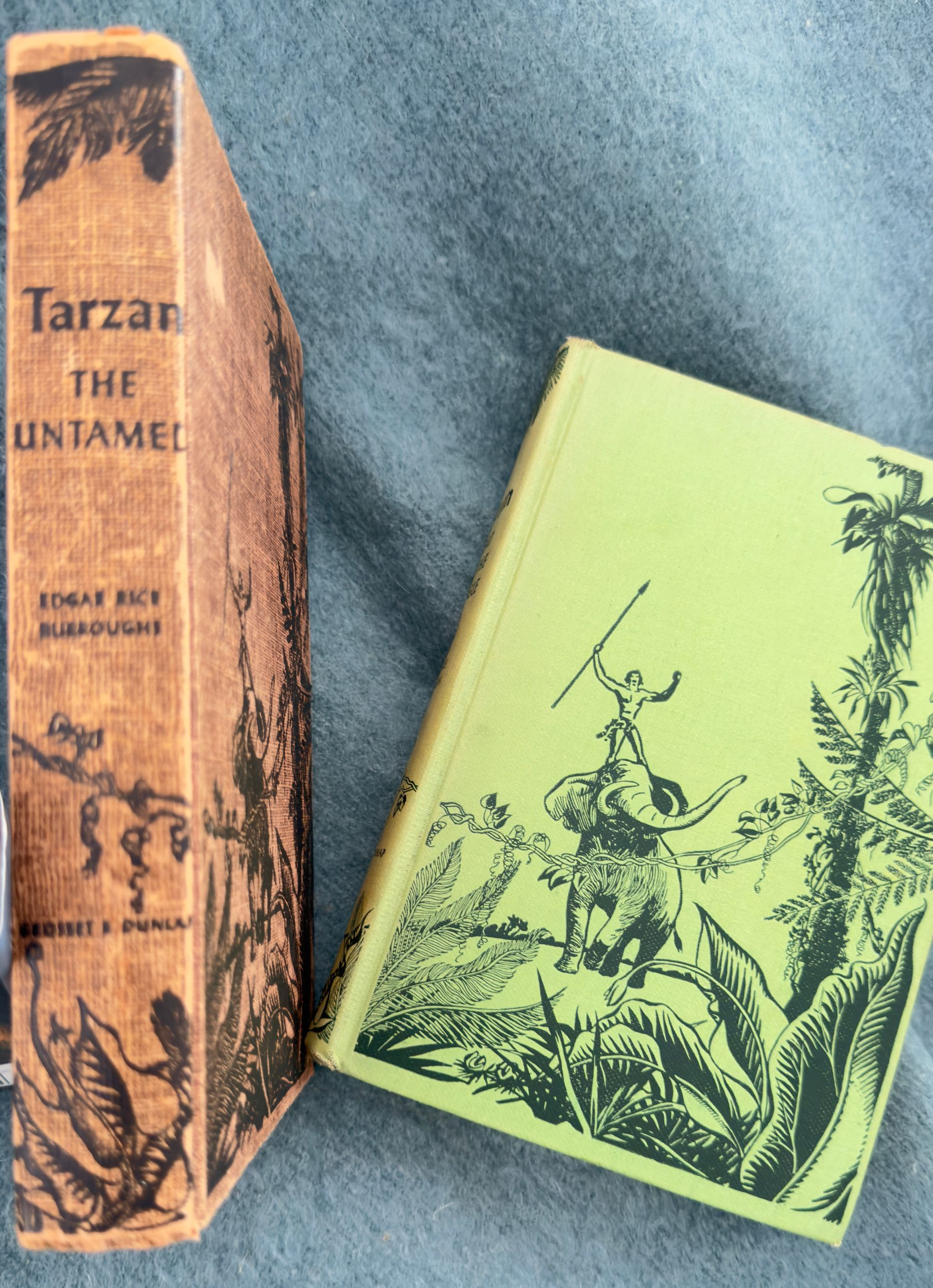 Two vintage book volumes, one tan and one green, standing on a blue cloth backdrop. The book is Tarzan The Untamed