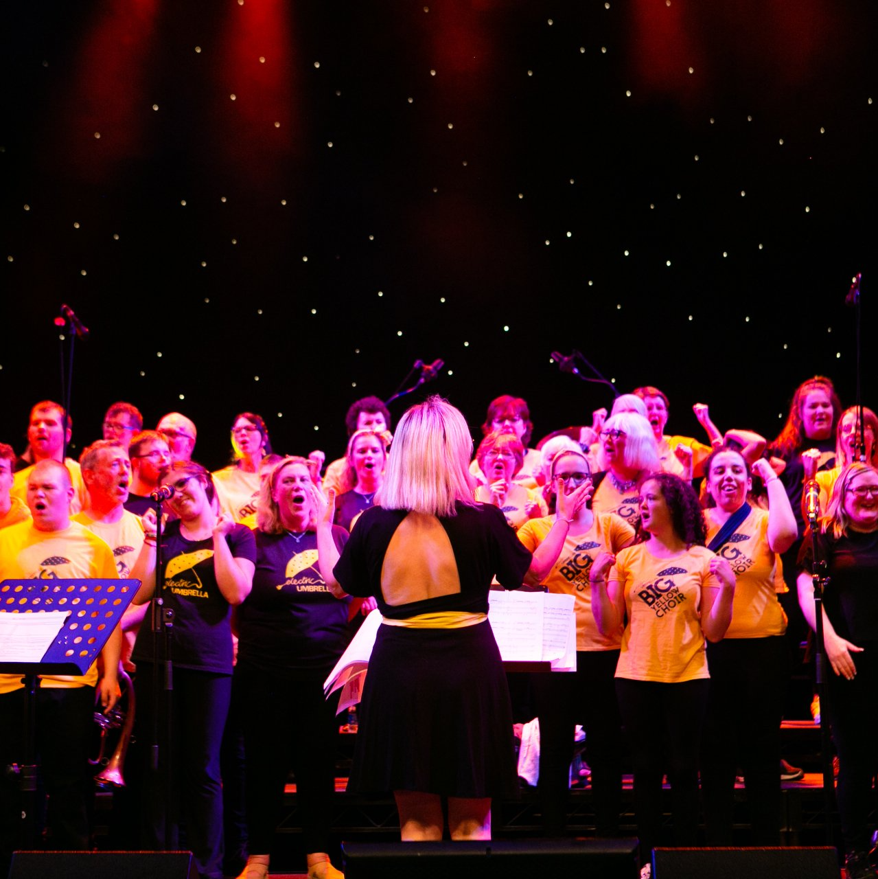 Electric Umbrella Big Yellow Choir