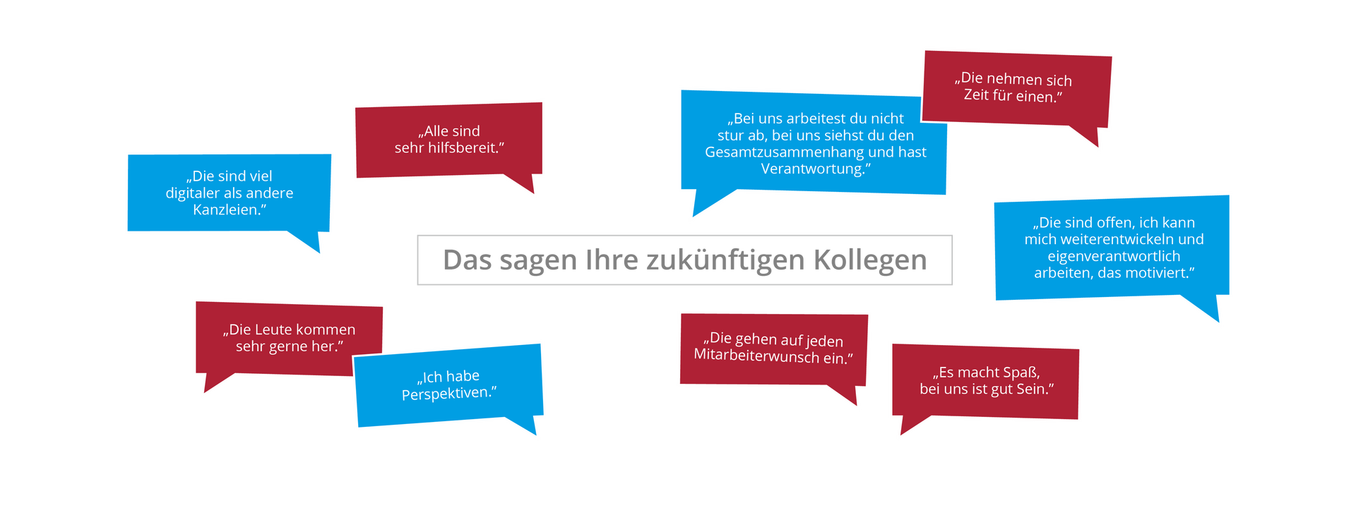 Mitarbeiterstimmen Alber & Pfindel
