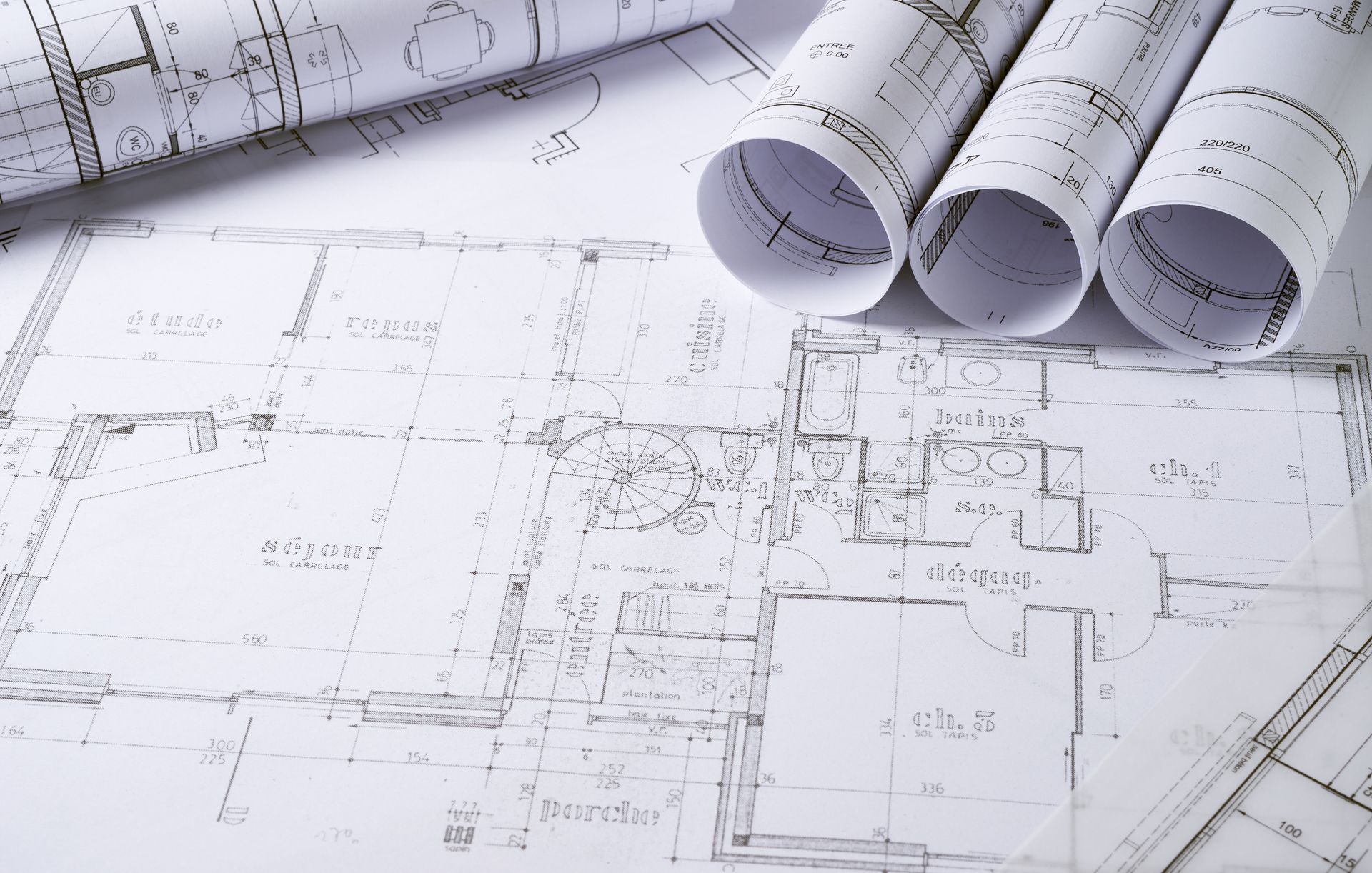 Architectural plans showing window and door openings | Ozark, MO