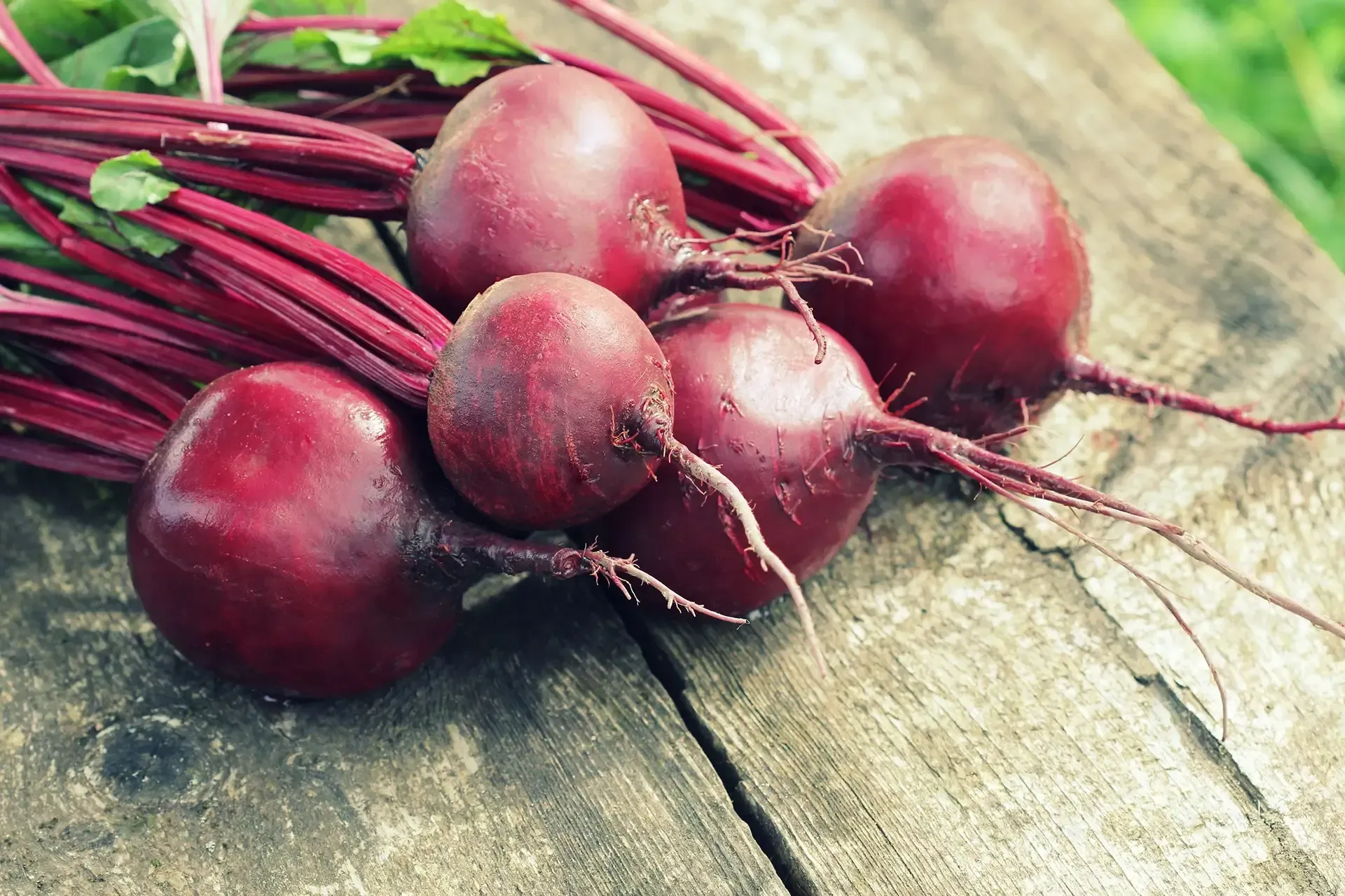 Beetroot Puree - NUTRACEUTICAL PRODUCTS - APAC INGREDIENTS