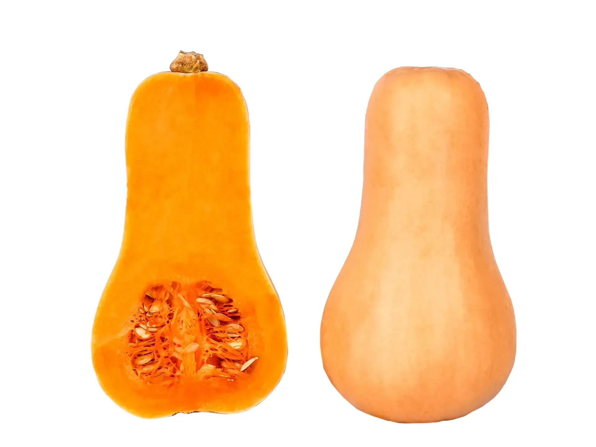 Butternut Pumpkin Puree - NUTRACEUTICAL PRODUCTS - APAC INGREDIENTS
