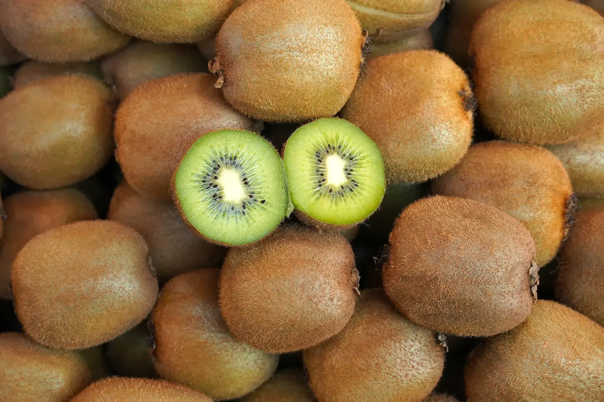 Kiwifruit Powder - NUTRACEUTICAL PRODUCTS - APAC INGREDIENTS