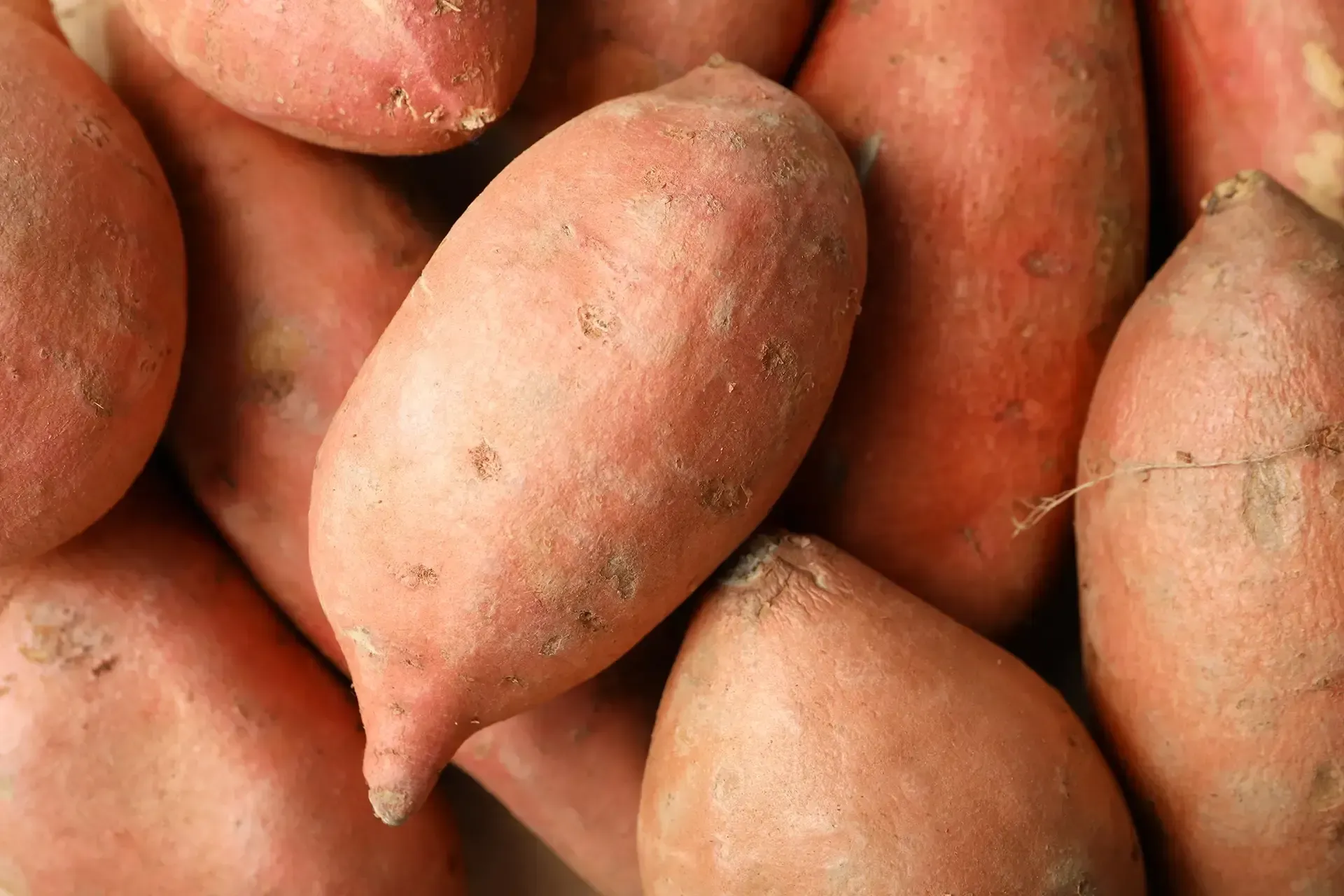 Kumara Powder - NUTRACEUTICAL PRODUCTS - APAC INGREDIENTS