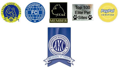 ramirez cane corso kennel logo