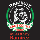 ramirez cane corso kennel logo