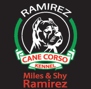 ramirez cane corso kennel logo