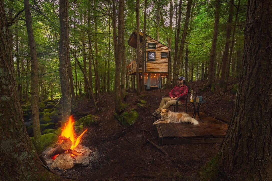 Campfire, dog, person, and cabin in a forest setting. The cabin is built up in the trees.