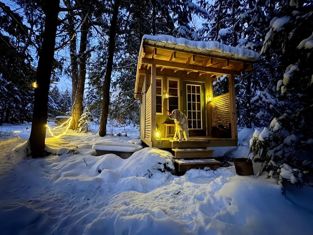 Small wooden cabin in snow-covered woods, lit up with string lights and porch light, dog on porch.