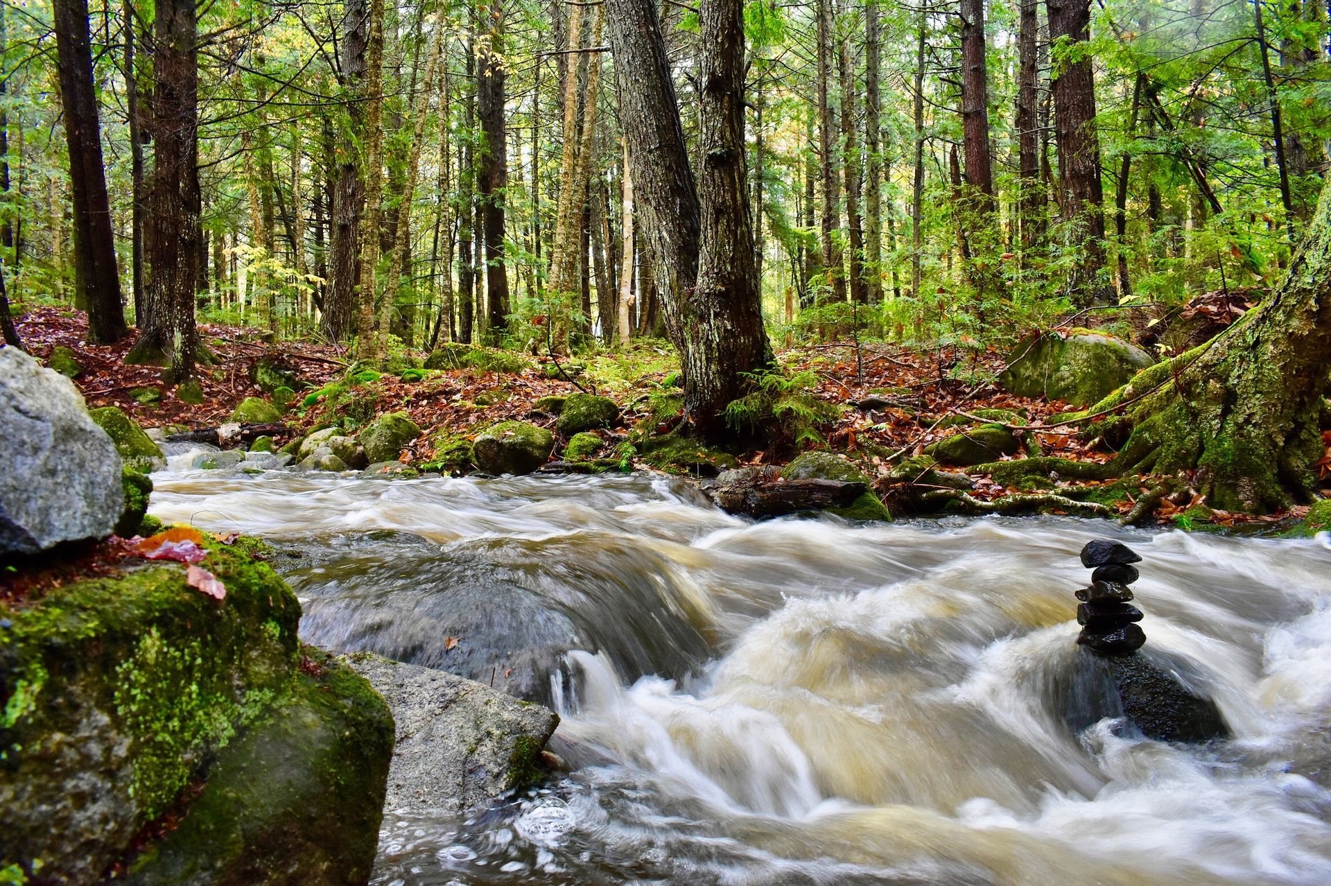 Rushing stream in a forest, trees in background, small stacked stones on a boulder.