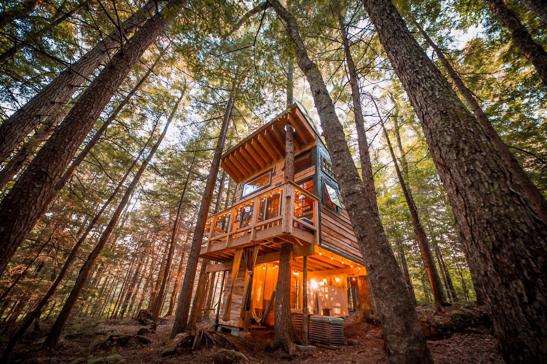 A tree house is sitting in the middle of a forest.