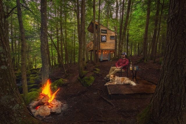 A man and a dog are sitting in front of a tree house in the woods.