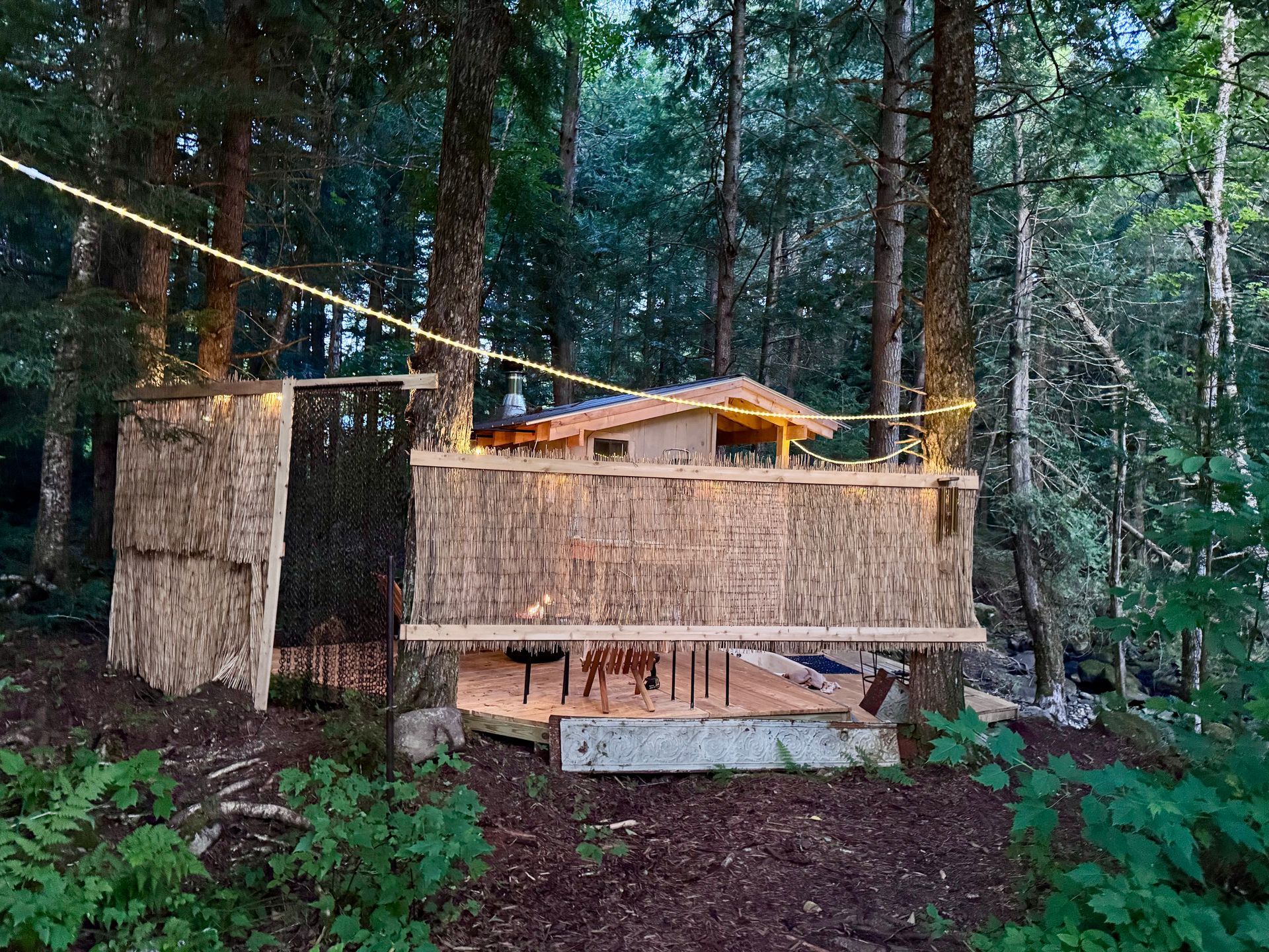 Outdoor cabin with wooden walls and string lights, surrounded by trees.