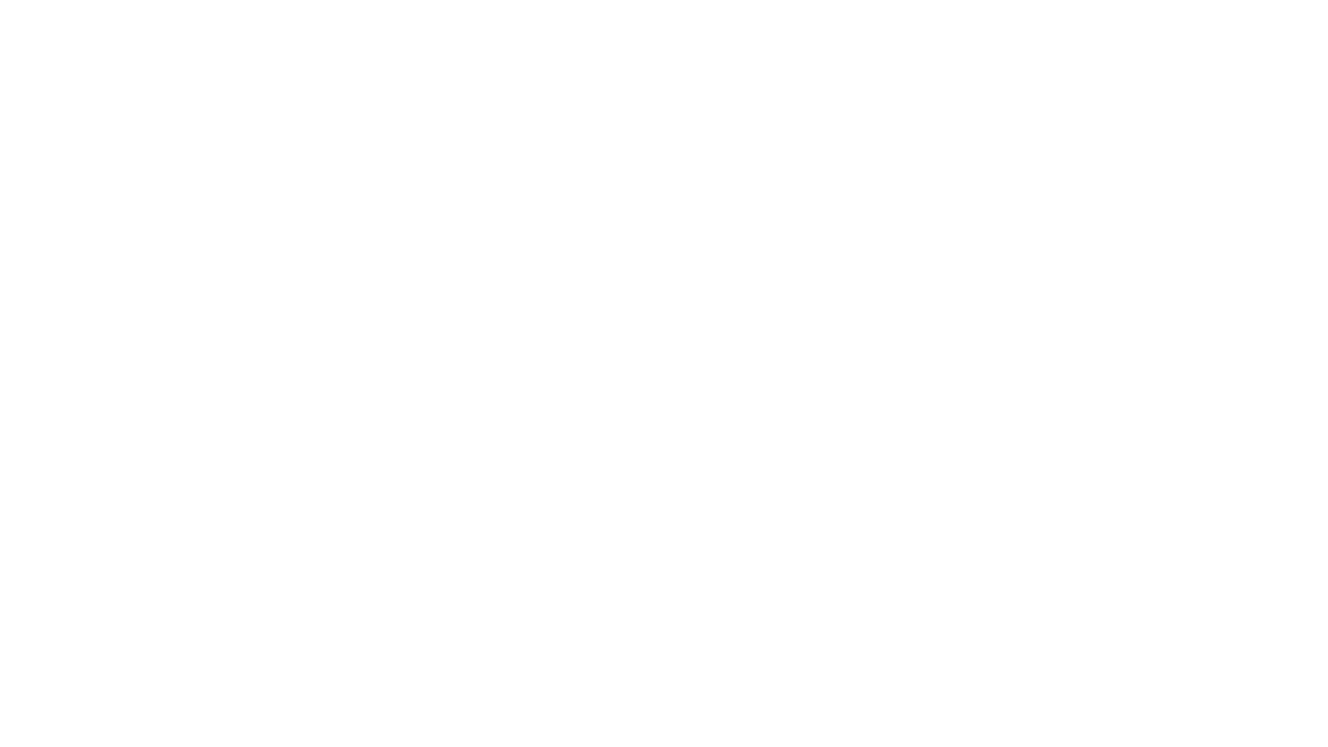 msn logo