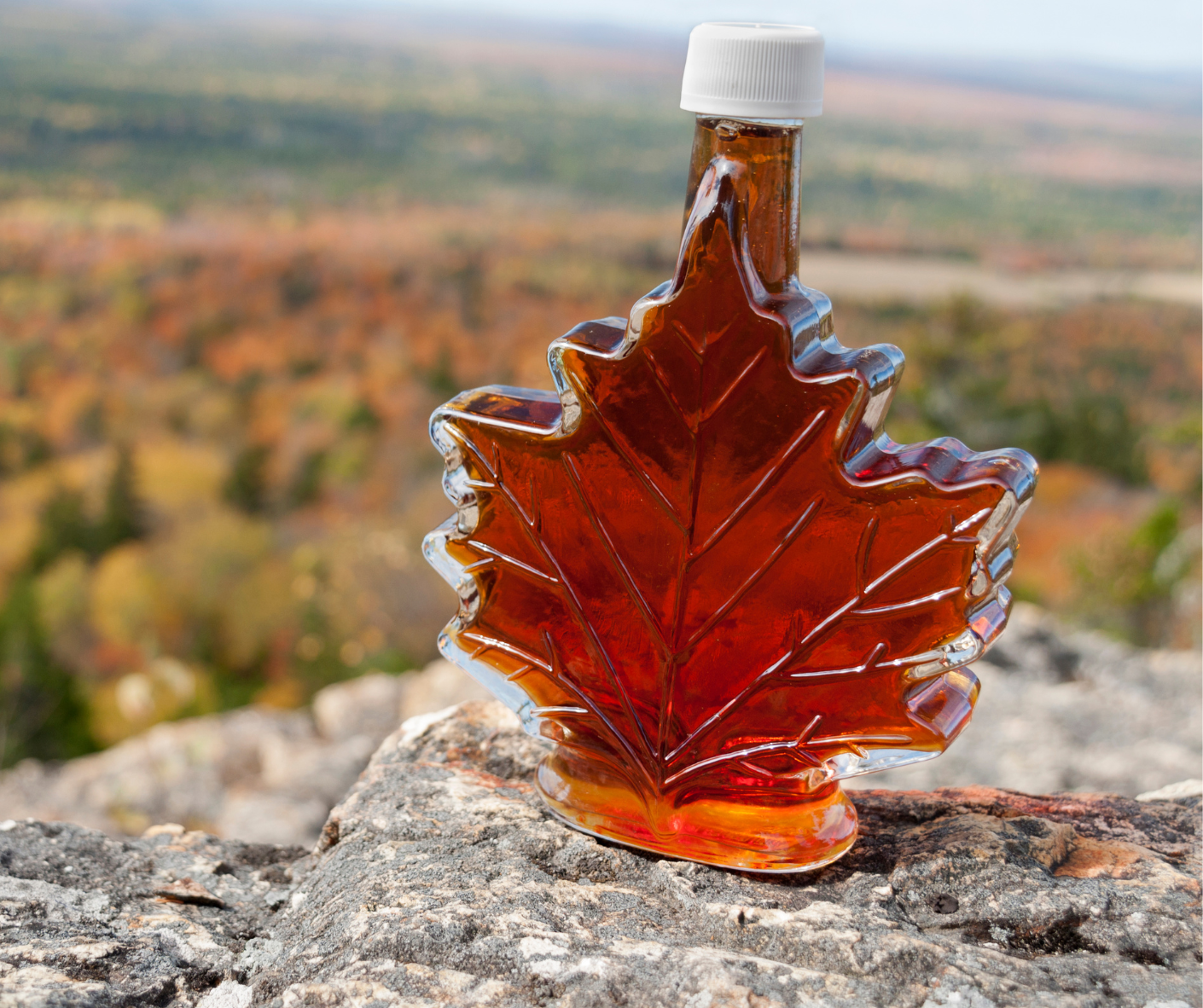 A glass maple leaf filled with maple syrup