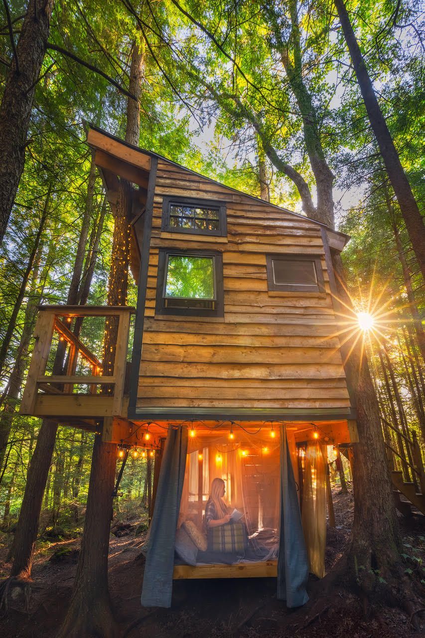 The Treehouse site in the summer with the sun setting behind it