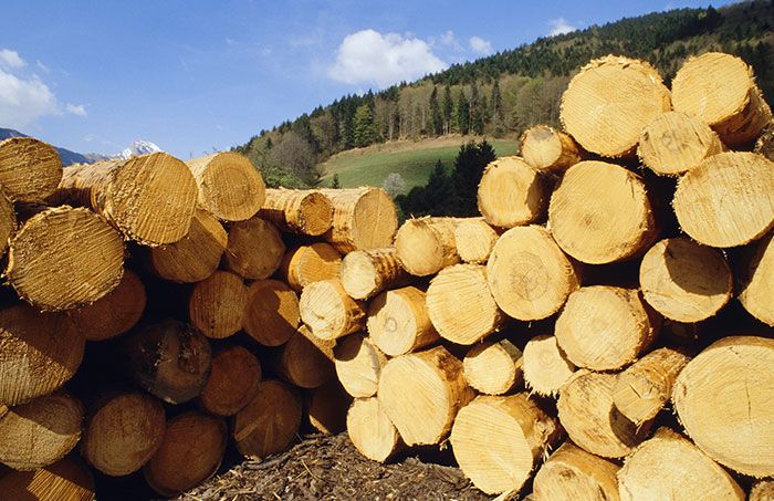 empaques de madera