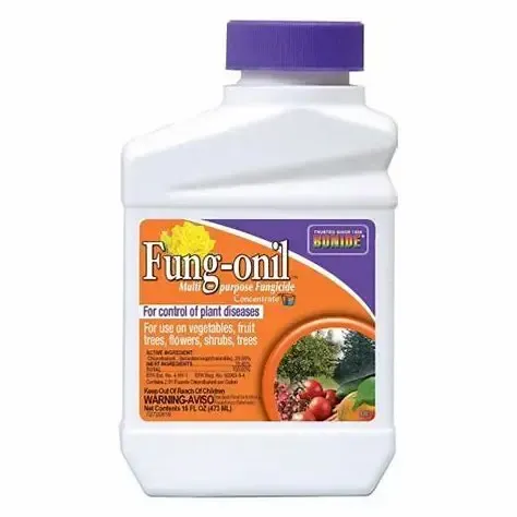 Bonide Fung-onil Multi-Purpose Fungicide for Plant Disease Control