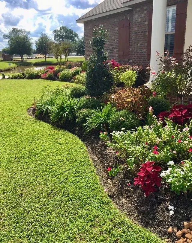 Beau Monde | Landscape installation Lafayette, LA