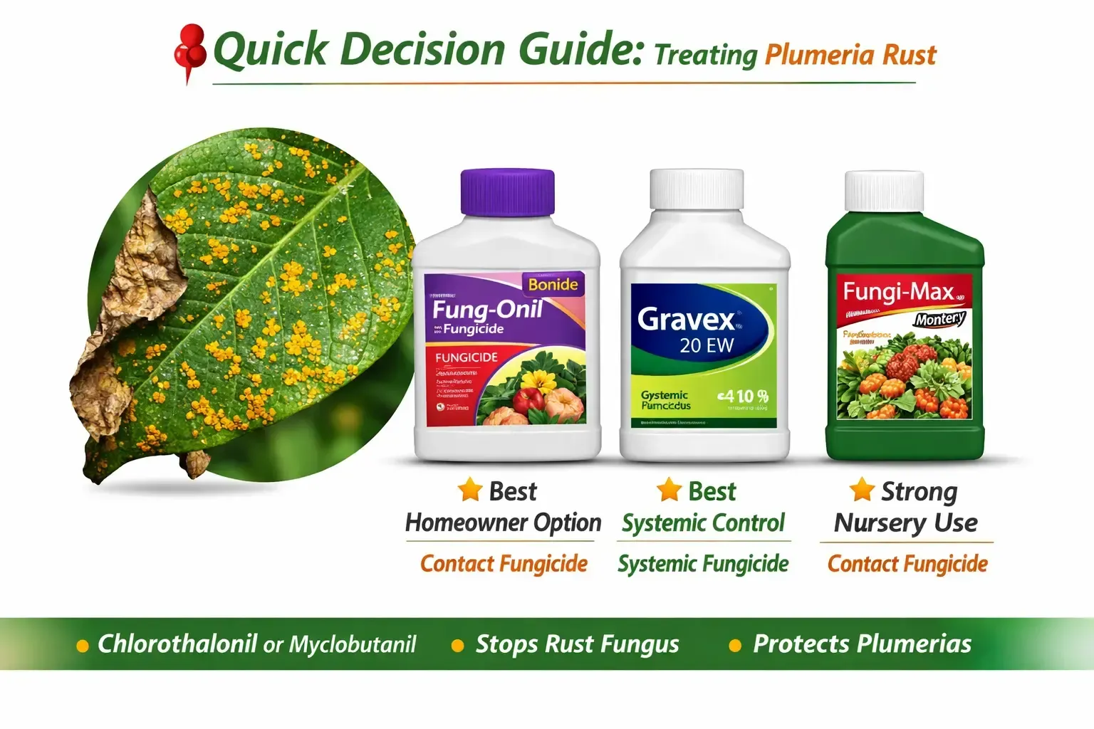 Quick guide to treating plumeria rust, showing diseased leaf and three fungicide bottles.