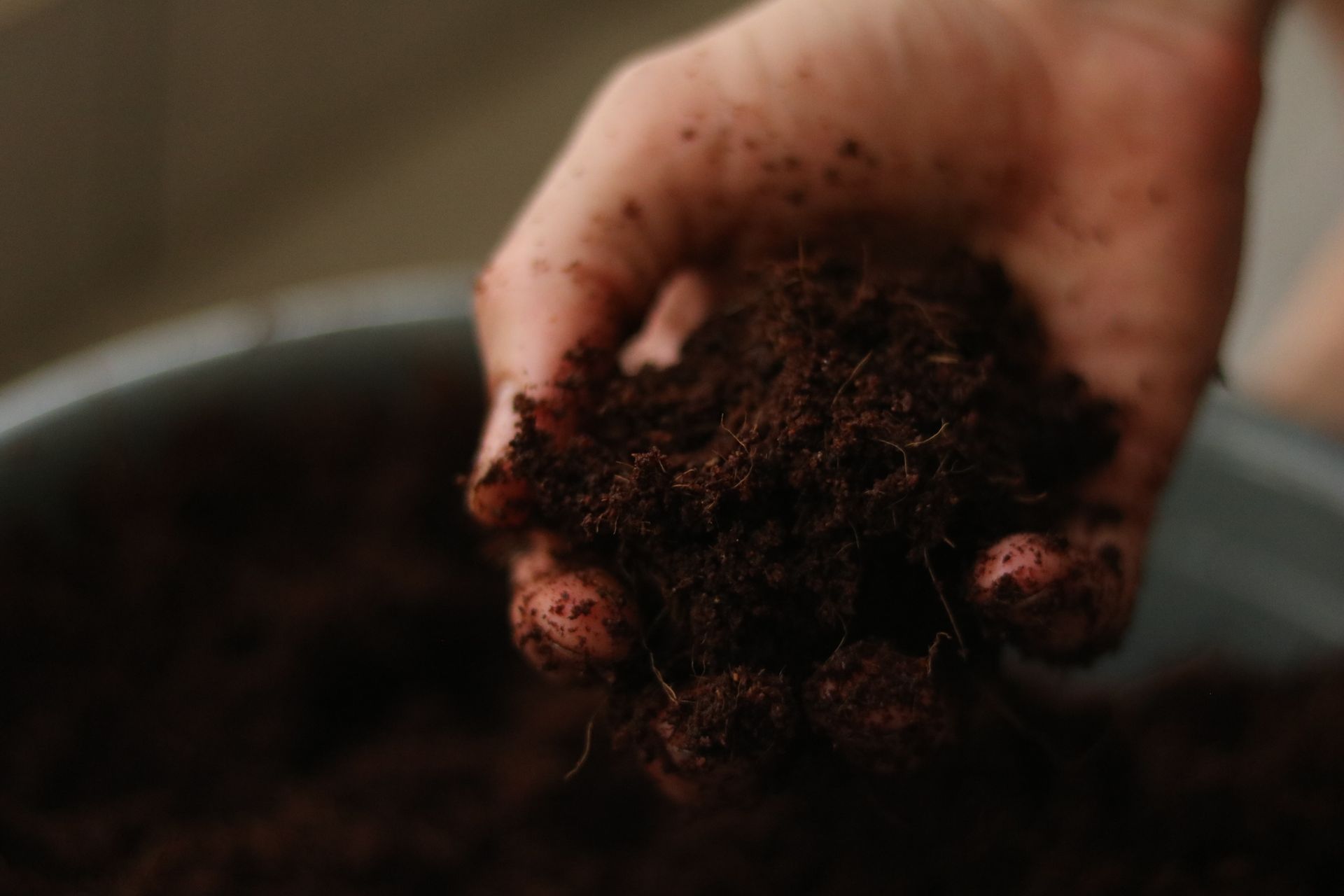 A person's hand holds a clump of dark, damp, rich potting soil over a container.