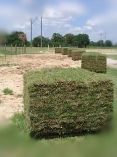Beau Monde Installation Sod Lafayette, LA