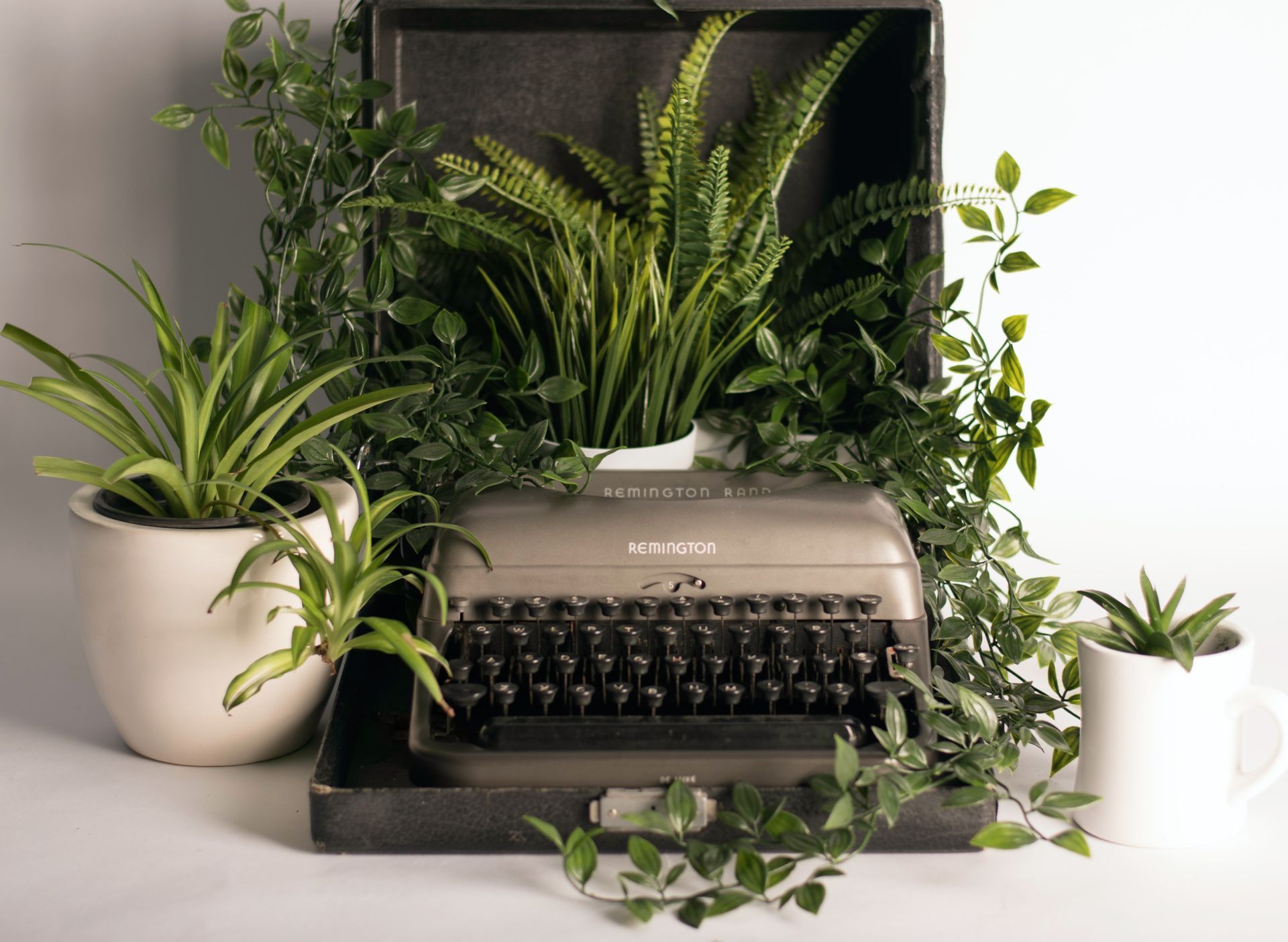 A vintage typewriter sits inside a dark box surrounded by lush green ferns, trailing ivy, and two white plant pots.