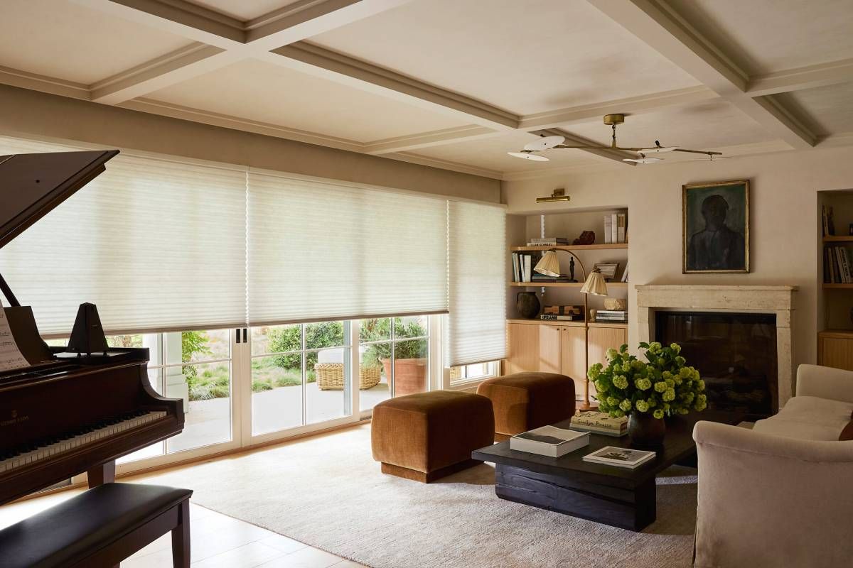 Hunter Douglas Duette® Cellular Shades on expansive glass doors in a well-designed living room
