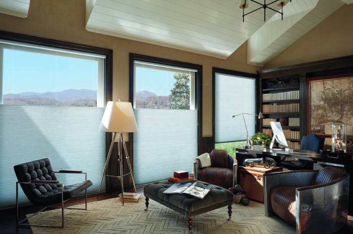Duette® Honeycomb Shades near Brandenburg, Kentucky (KY) including Hunter Douglas honeycomb shades and cellular shades