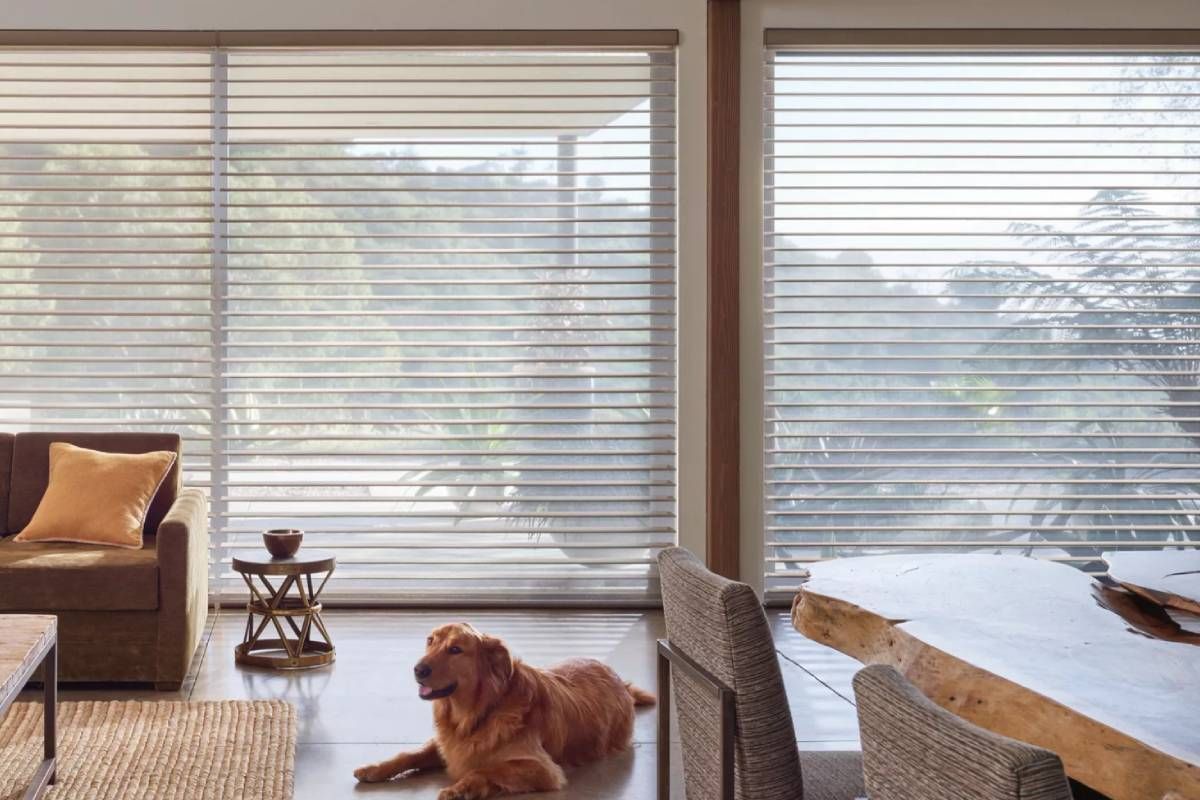 Hunter Douglas Silhouette® Sheer Shades on large windows in a living room with dog on floor