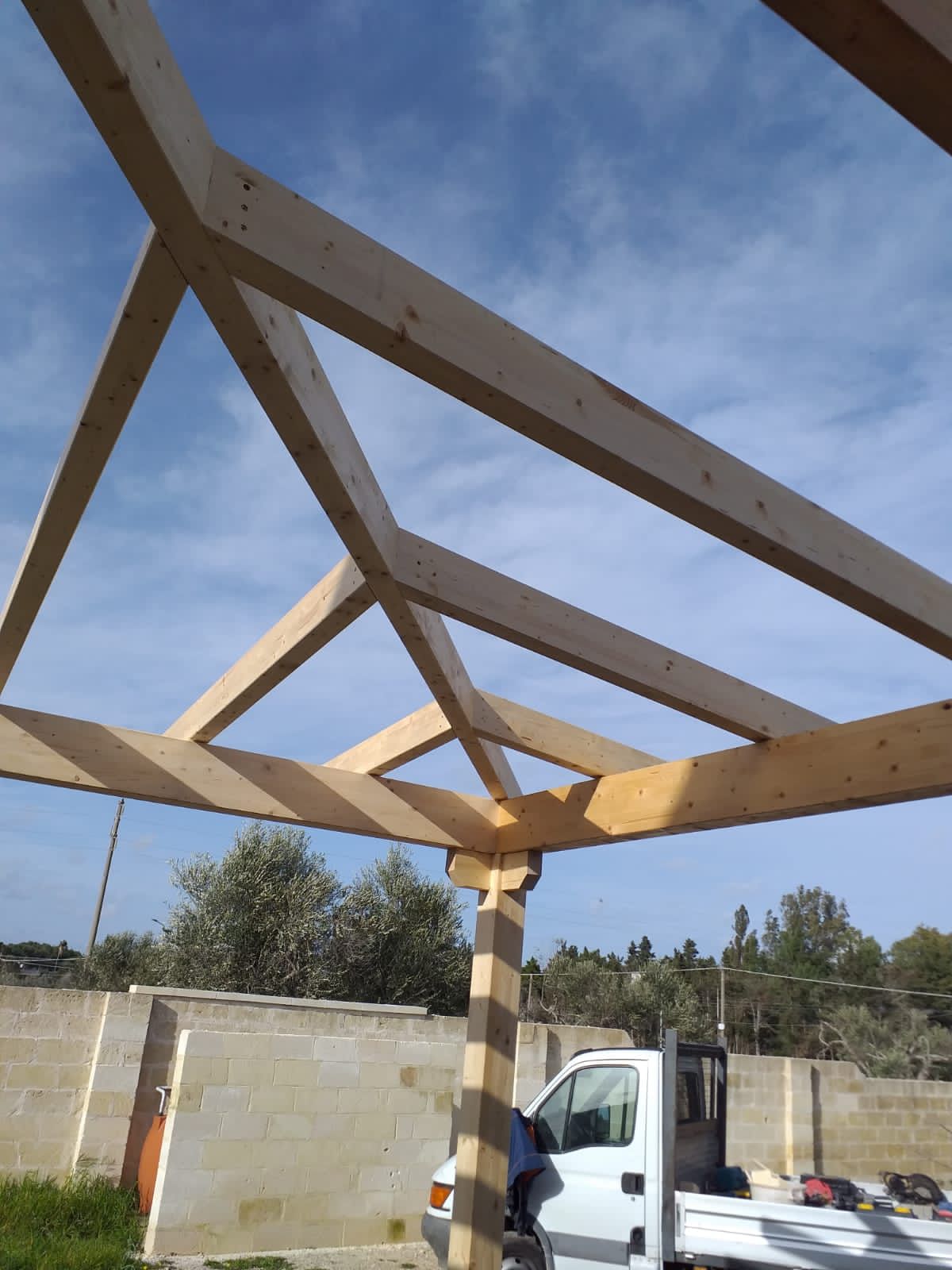 struttura in legno
