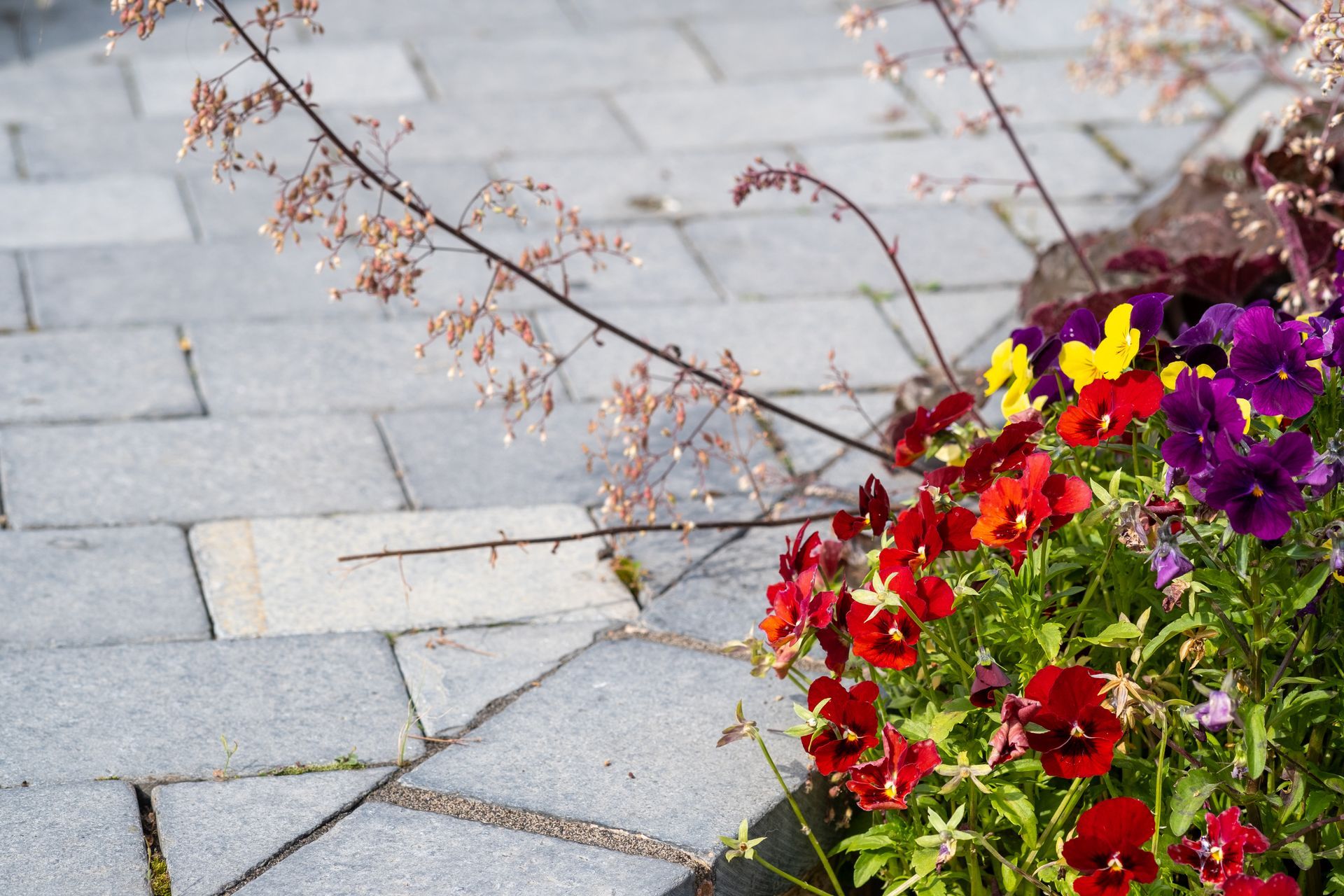 Garden paving