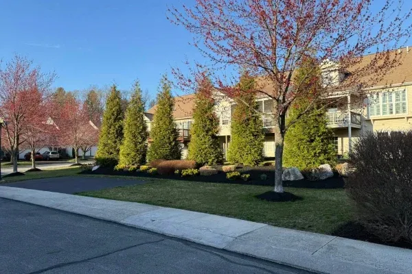 Custom yard design services in Spring Grove PA enhancing outdoor spaces with thoughtful plant and hardscape layouts