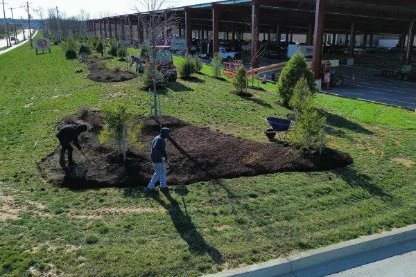 Custom yard landscape installation in Spring Grove PA transforming outdoor areas with trees shrubs and garden layouts