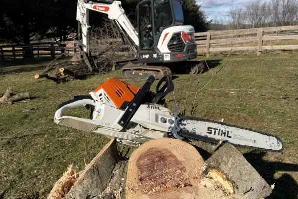 Expert tree clearing in Spring Grove PA removing unwanted trees to create safer and more usable outdoor spaces