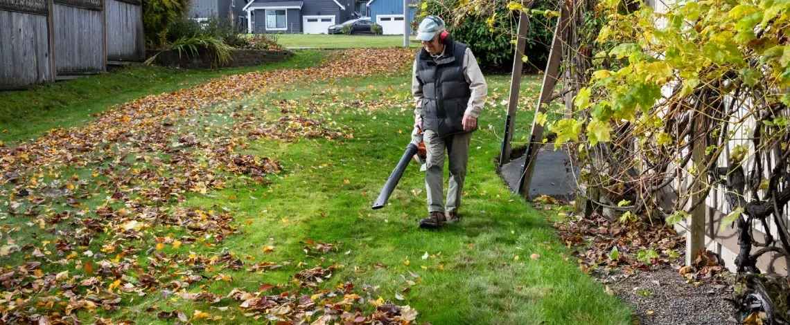 fall lawn care tips york county pa