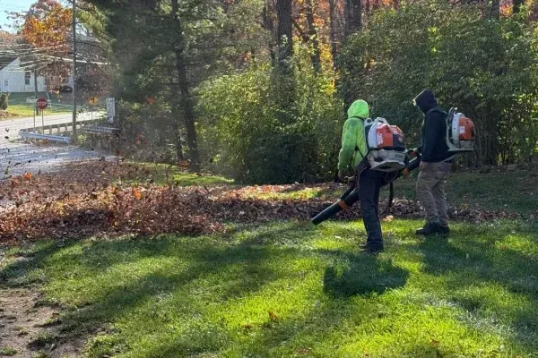fall yard cleanup in Spring Grove PA removing fallen leaves and organic debris for a tidy outdoor space