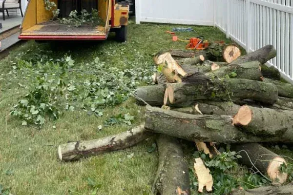 Firewood supply and delivery in Spring Grove PA ensuring consistent fuel supply for home heating and outdoor fires