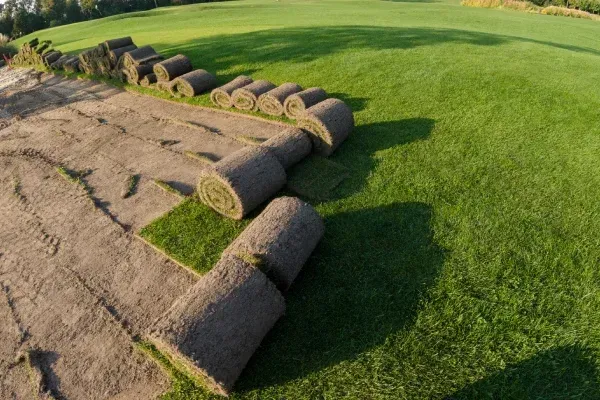 Fresh sod lawn installation in Spring Grove PA creating immediate curb appeal with healthy green grass