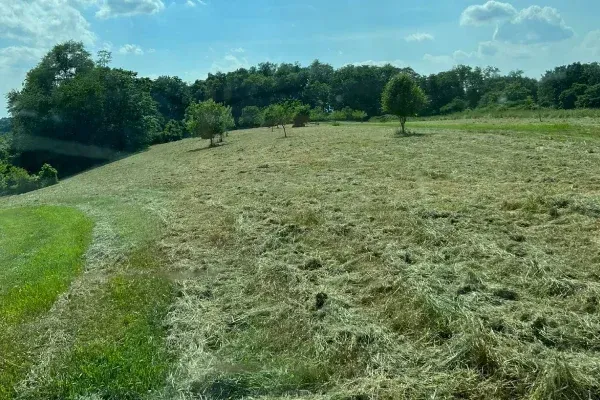 Heavy brush cutting services in Spring Grove PA removing dense vegetation to improve property access and visibility