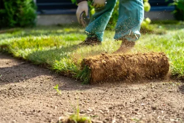 Instant lawn sod laying in Spring Grove PA transforming outdoor spaces with fast and uniform grass installation