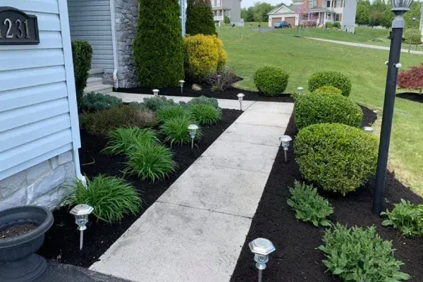 Landscape lighting installation in Spring Grove PA enhancing outdoor spaces with safe and attractive nighttime illumination