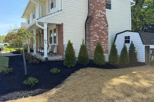 Landscape tree planting in Spring Grove PA adding structured greenery and long term value to outdoor living spaces