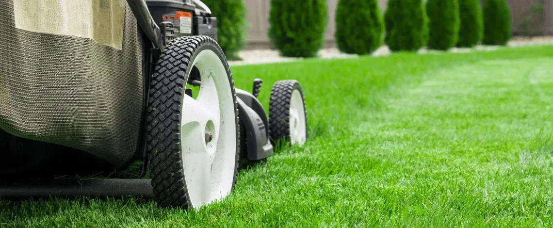 lawn care york county pa local lawn service companies