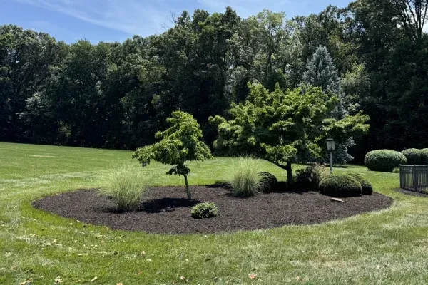 Mulch installation services in Spring Grove PA improving soil moisture retention and enhancing landscape appearance
