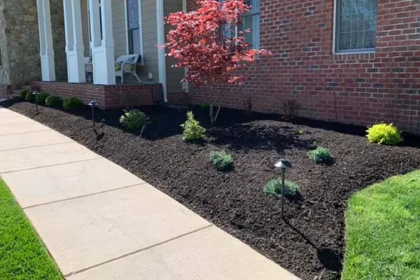 Outdoor yard lighting design in Spring Grove PA highlighting landscape features and improving nighttime visibility