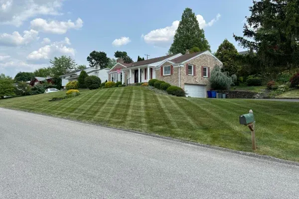 Professional landscapers in Manchester providing custom lawn care landscape design