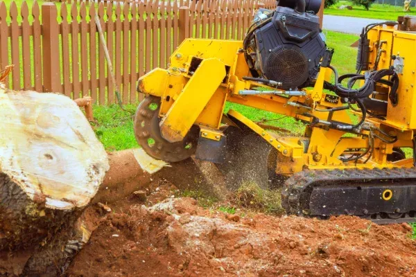 Professional stump removal in Spring Grove PA improving curb appeal by removing unsightly and obstructive tree stumps